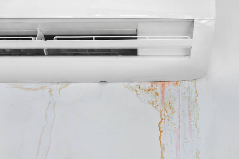 Water Leaks and Drainage Problems